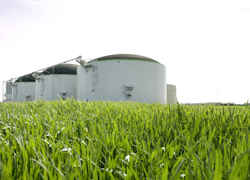 Biogas-Kleinanlagen Biogas